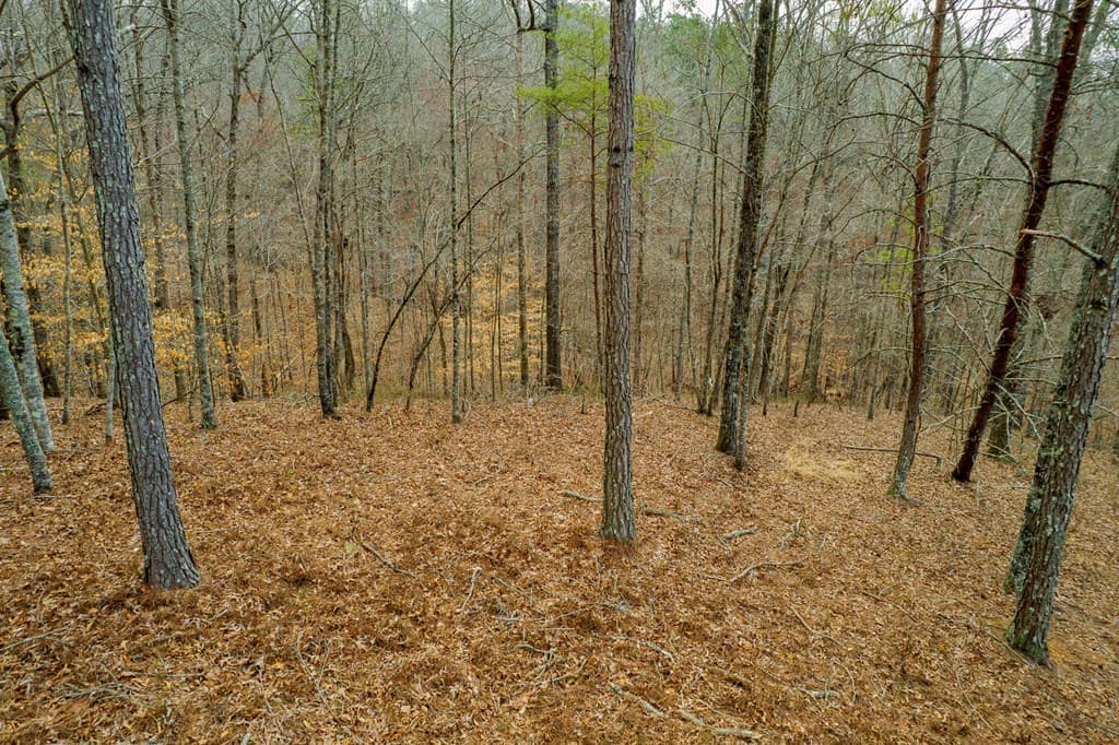 Lot 44 Bucktail Way, Talking Rock GA 30175 - Photo