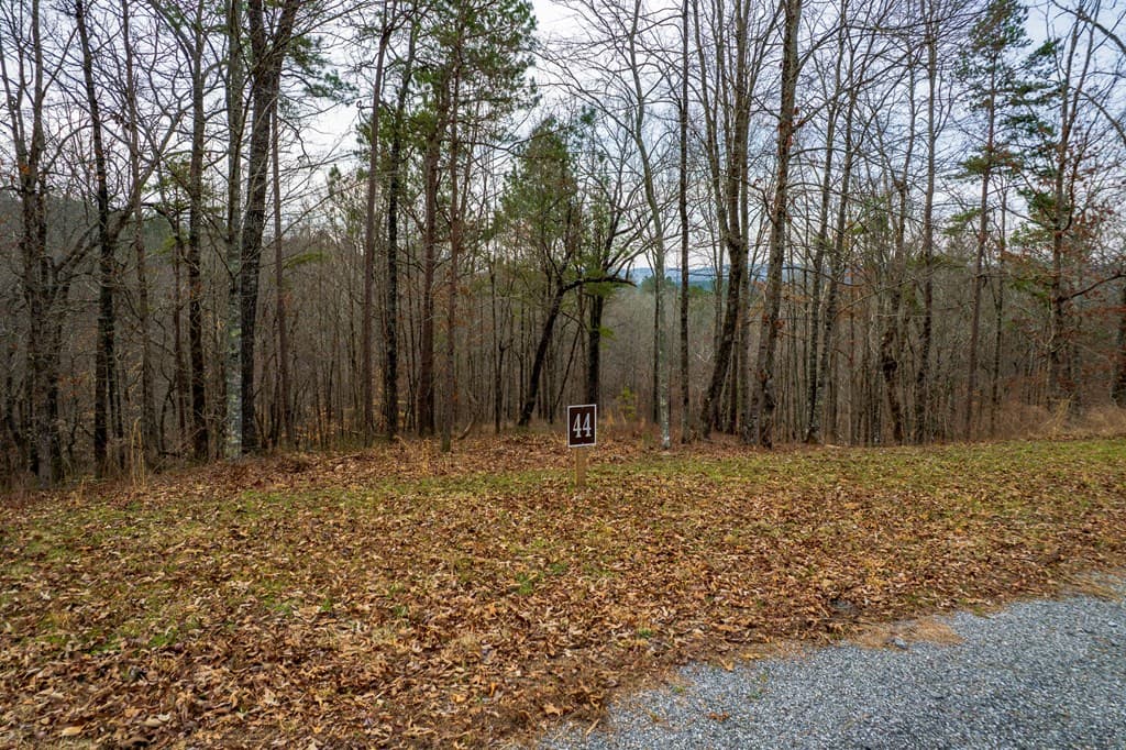 Lot 44 Bucktail Way, Talking Rock GA 30175 - Photo