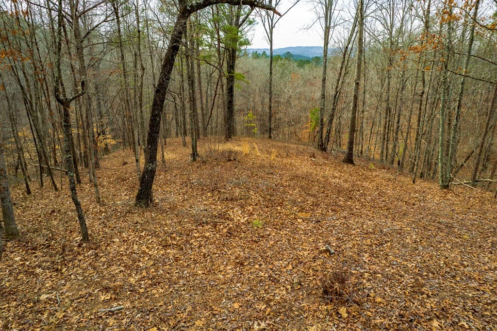 Lot 44 Bucktail Way, Talking Rock GA 30175 - Photo