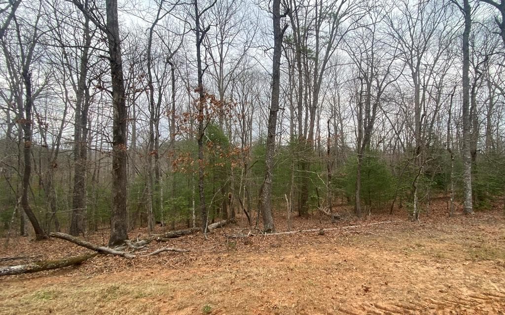 Lot 8 Tomahawk Trail, Blairsville GA 30512 - Primary photo