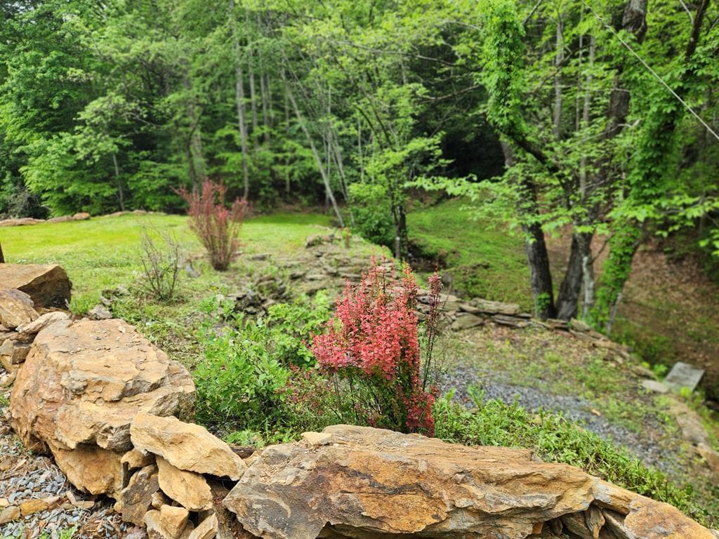 820 Beaver Creek, Andrews NC 28901 - Photo