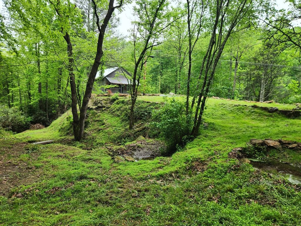 820 Beaver Creek, Andrews NC 28901 - Photo