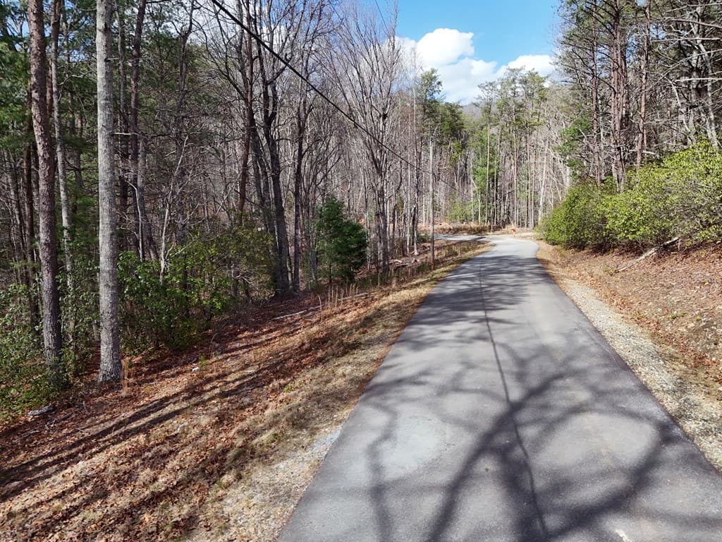 4.43 AC Turkey Trot, Blairsville GA 30512 - Photo