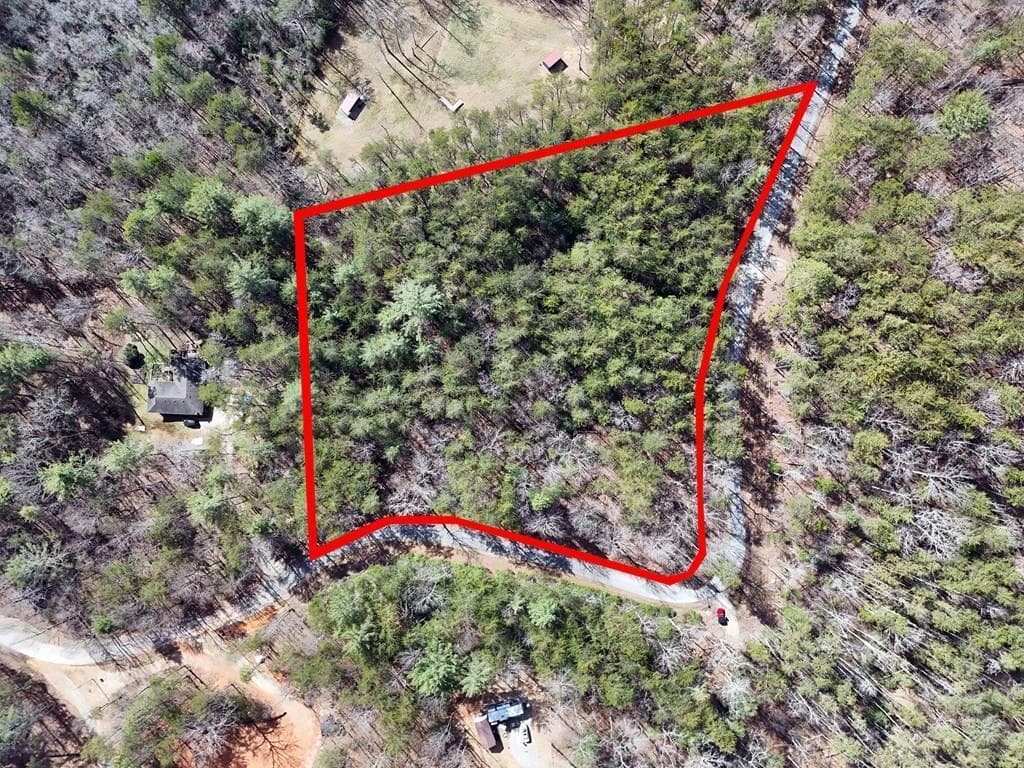 4.43 AC Turkey Trot, Blairsville GA 30512 - Photo