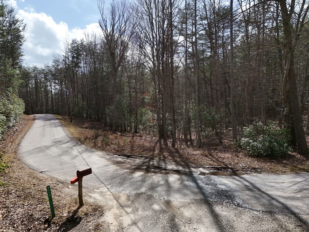 4.43 AC Turkey Trot, Blairsville GA 30512 - Photo
