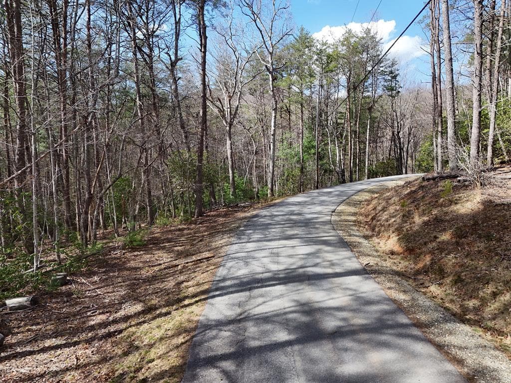 4.43 AC Turkey Trot, Blairsville GA 30512 - Photo
