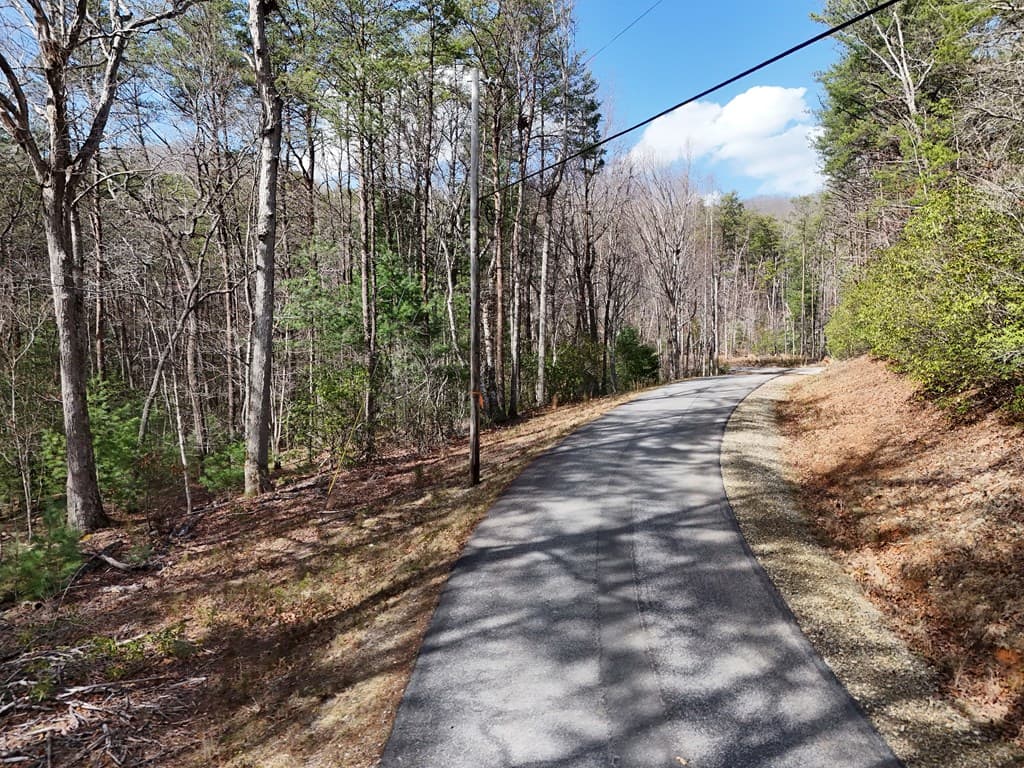 4.43 AC Turkey Trot, Blairsville GA 30512 - Photo