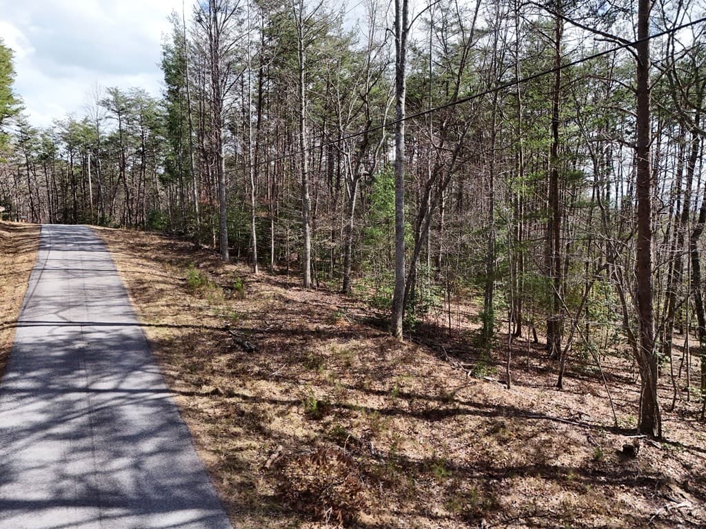 4.43 AC Turkey Trot, Blairsville GA 30512 - Photo