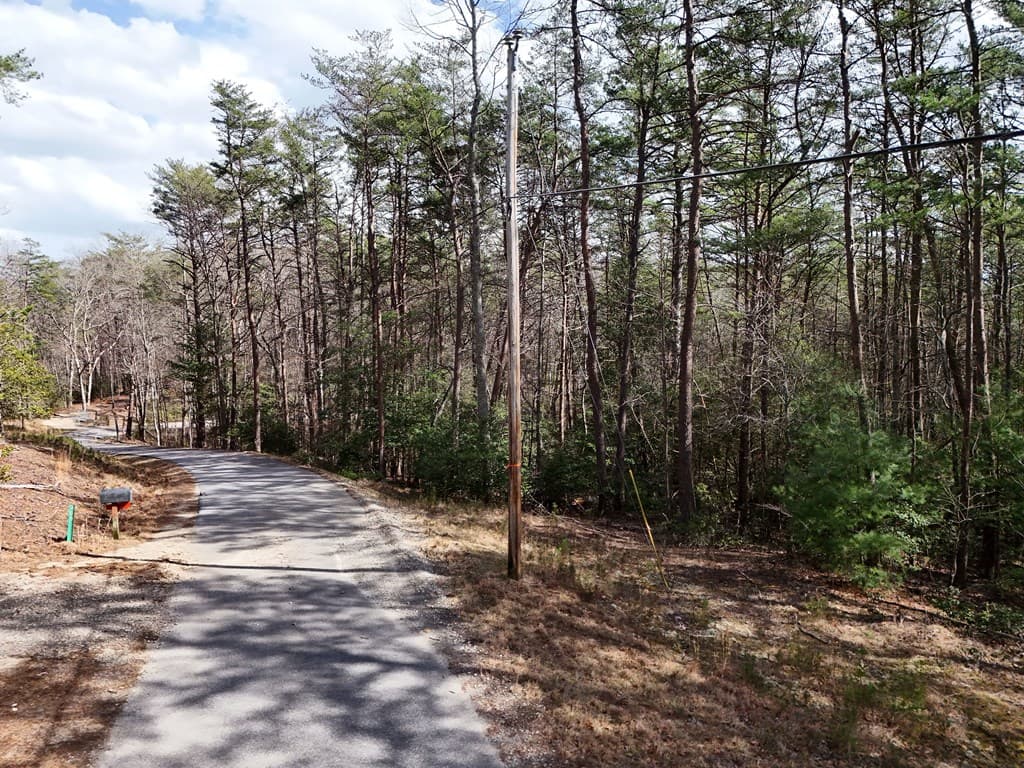 4.43 AC Turkey Trot, Blairsville GA 30512 - Photo