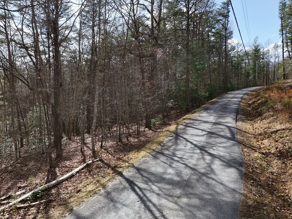 4.43 AC Turkey Trot, Blairsville GA 30512 - Photo