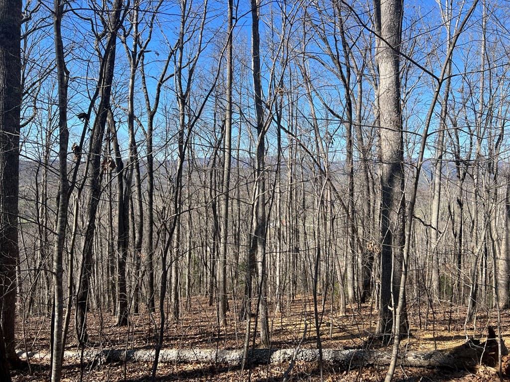 Lots 7&8 Wikle Road, Hayesville NC 28904 - Photo