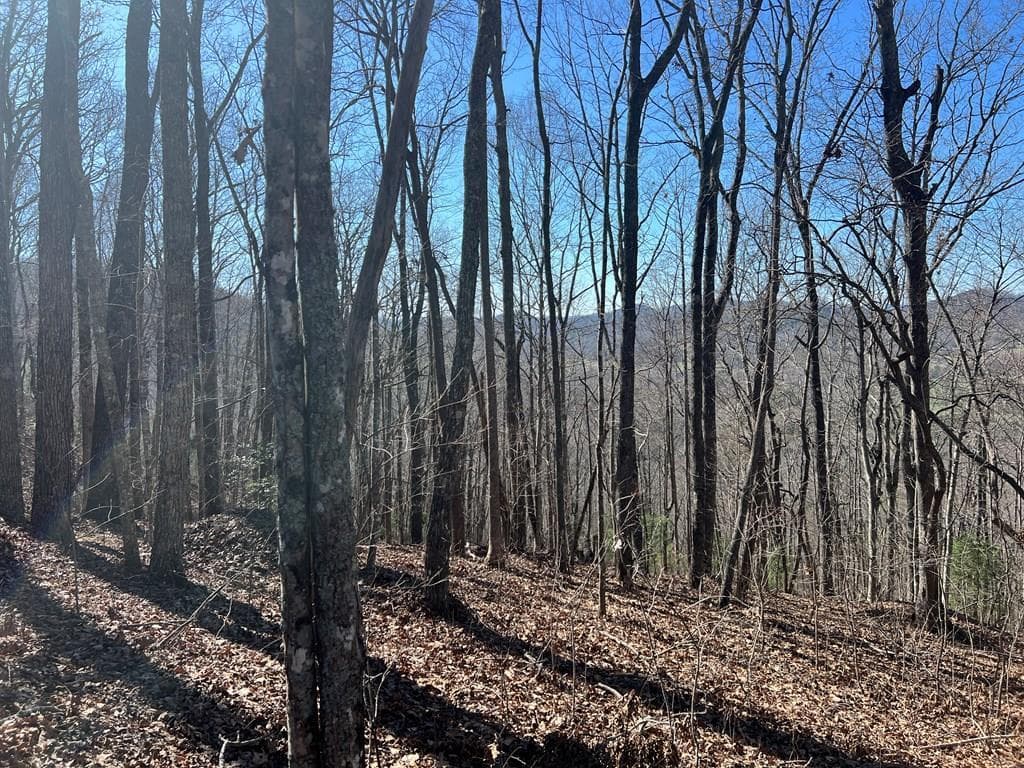 Lots 7&8 Wikle Road, Hayesville NC 28904 - Photo