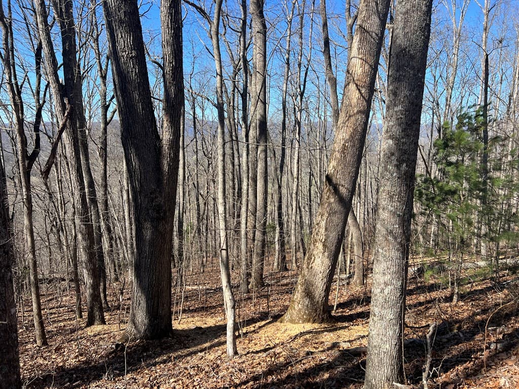 Lots 7&8 Wikle Road, Hayesville NC 28904 - Photo