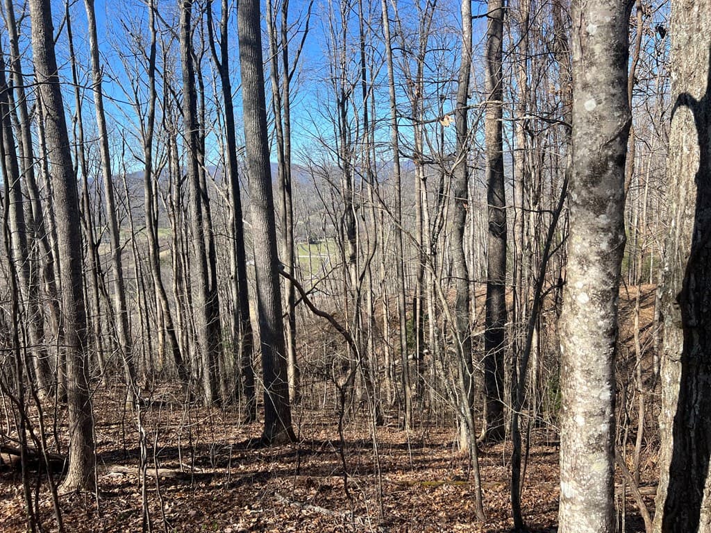 Lots 7&8 Wikle Road, Hayesville NC 28904 - Photo