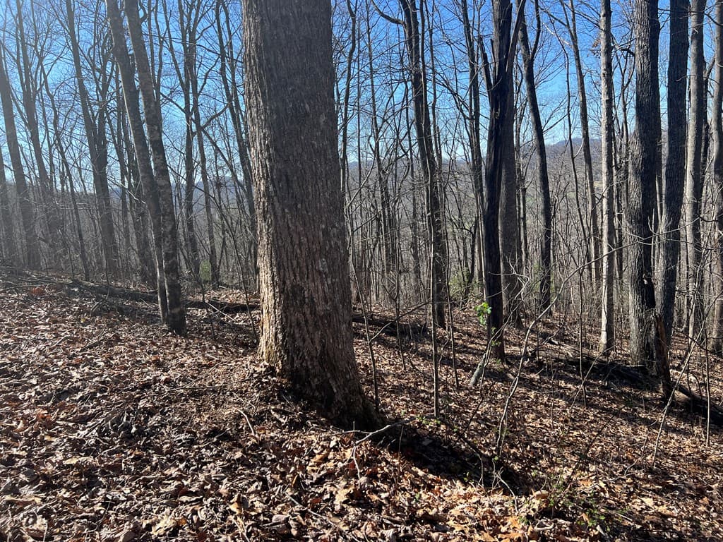 Lots 7&8 Wikle Road, Hayesville NC 28904 - Photo