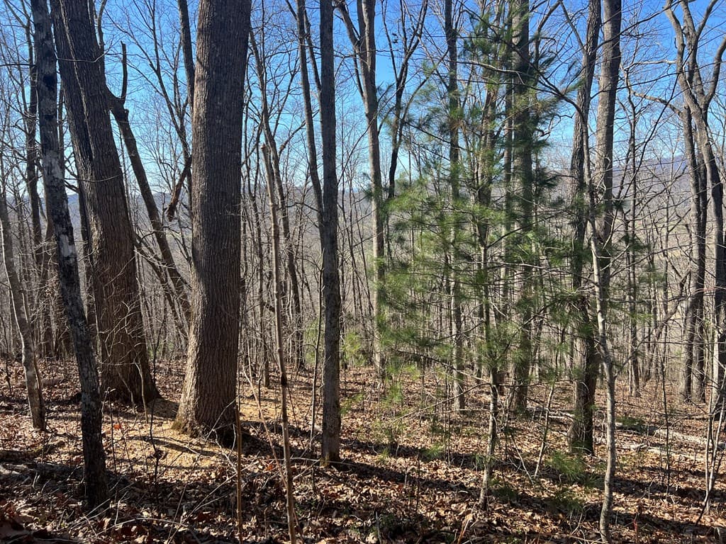 Lots 7&8 Wikle Road, Hayesville NC 28904 - Photo
