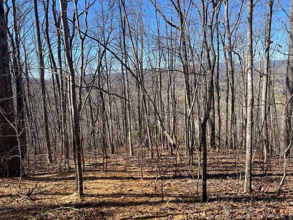 Lots 7&8 Wikle Road, Hayesville NC 28904 - Photo