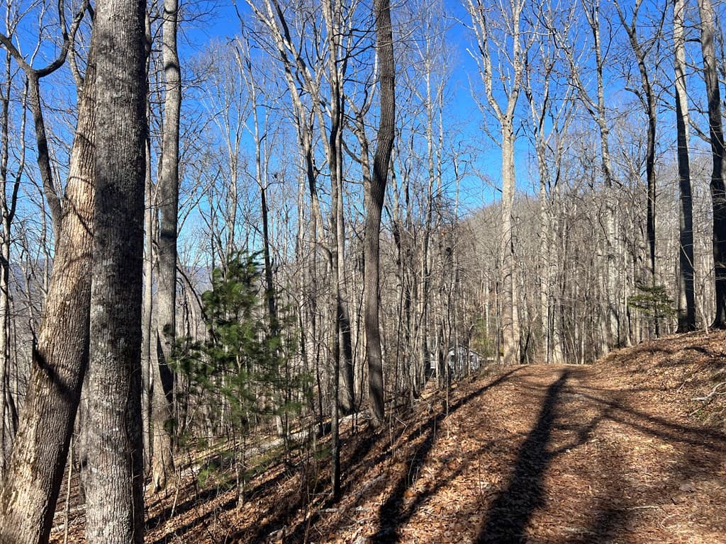 Lots 7&8 Wikle Road, Hayesville NC 28904 - Photo