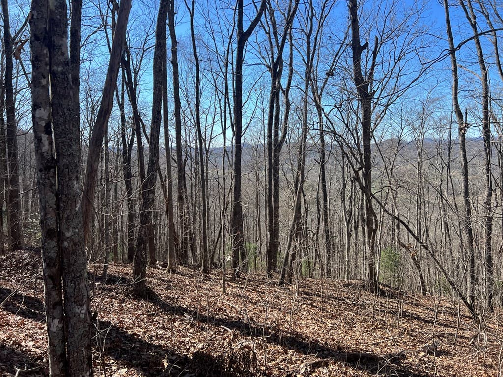 Lots 7&8 Wikle Road, Hayesville NC 28904 - Photo