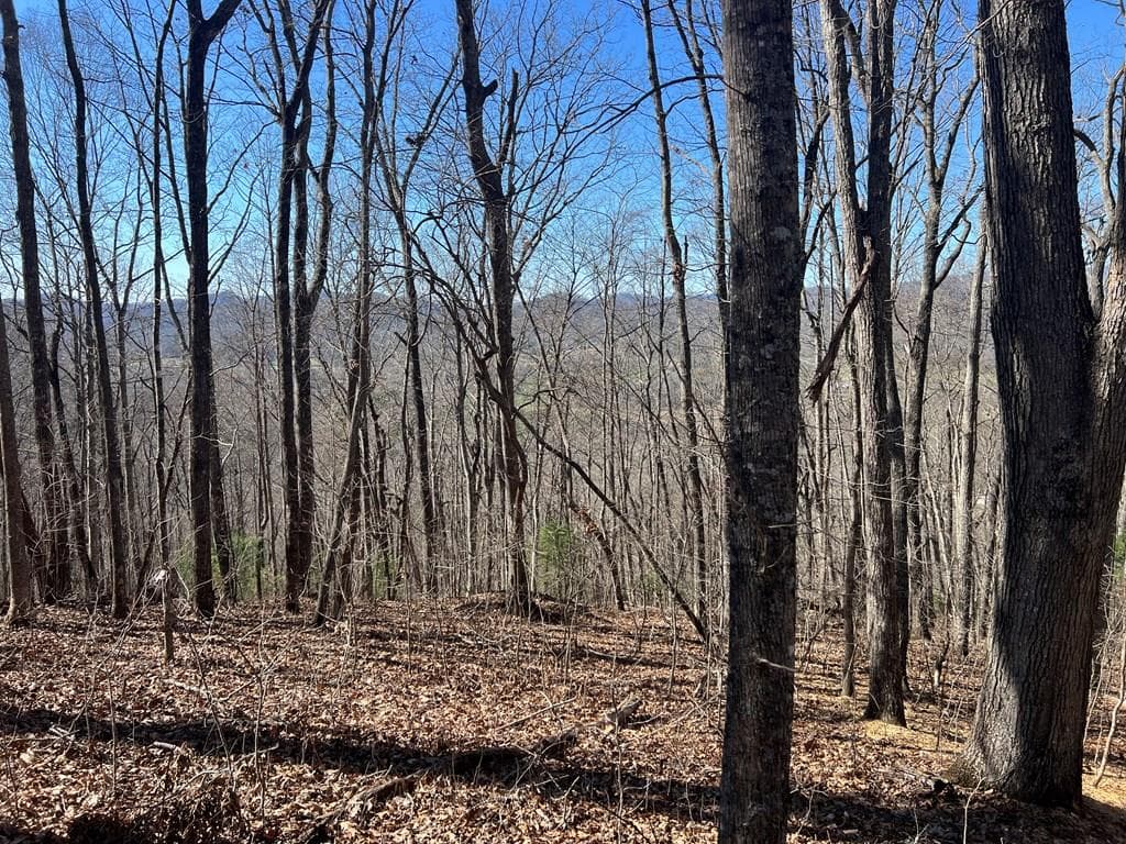 Lots 7&8 Wikle Road, Hayesville NC 28904 - Primary photo