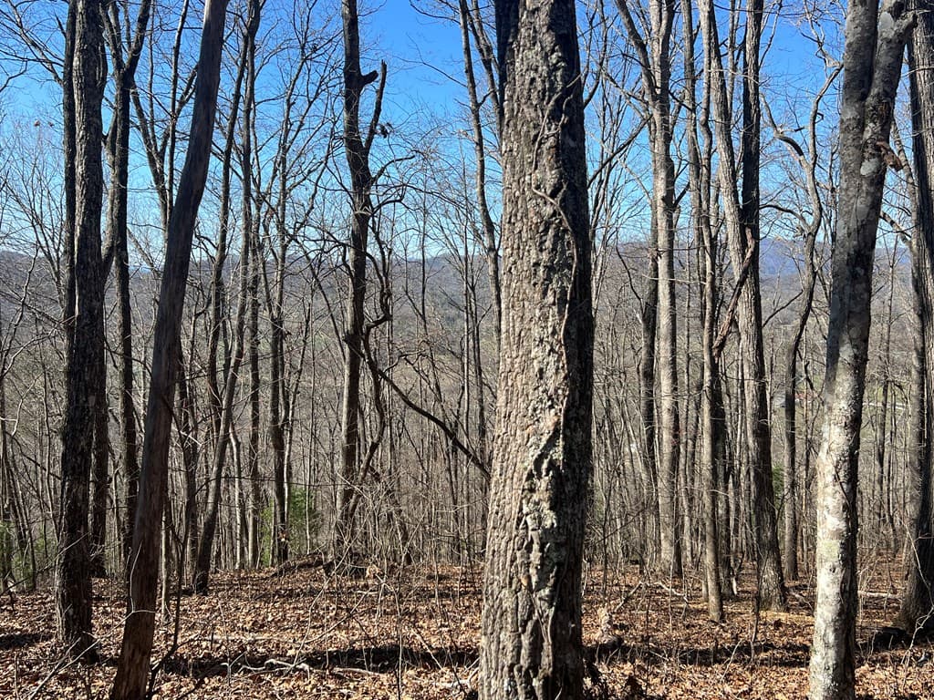 Lots 7&8 Wikle Road, Hayesville NC 28904 - Photo