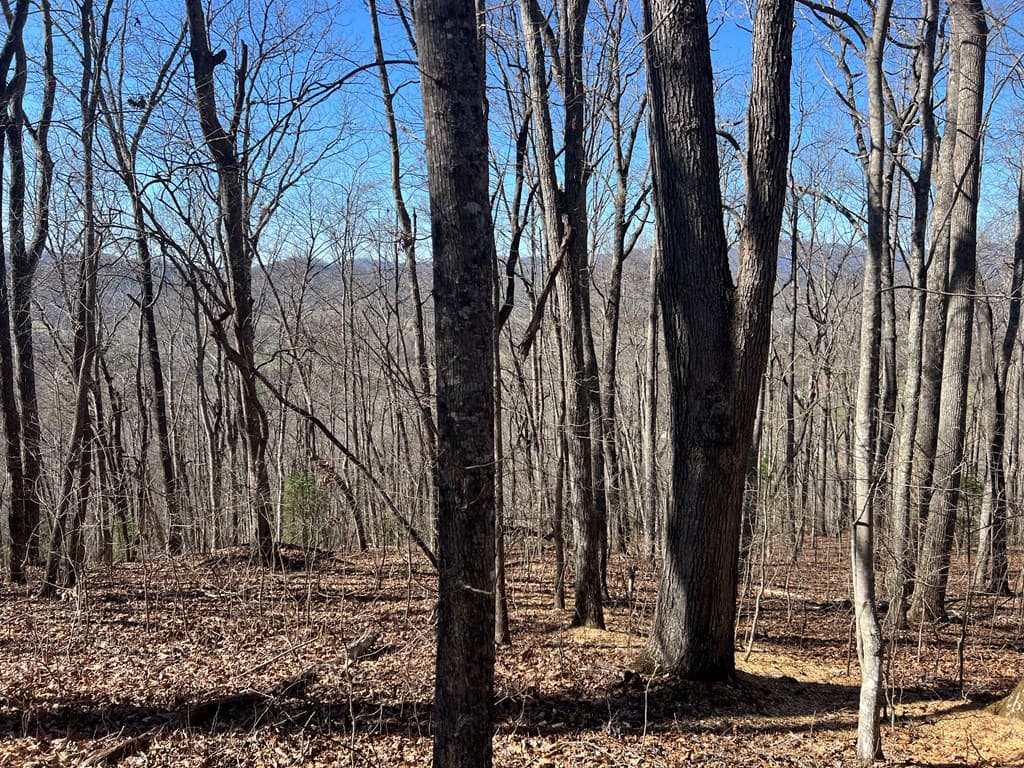 Lots 7&8 Wikle Road, Hayesville NC 28904 - Photo