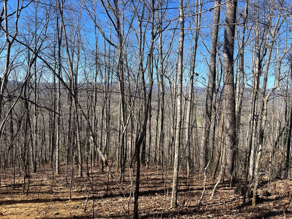 Lots 7&8 Wikle Road, Hayesville NC 28904 - Photo