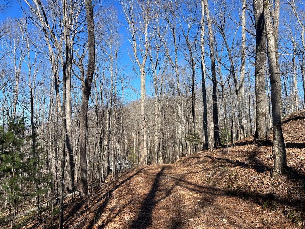 Lots 7&8 Wikle Road, Hayesville NC 28904 - Photo