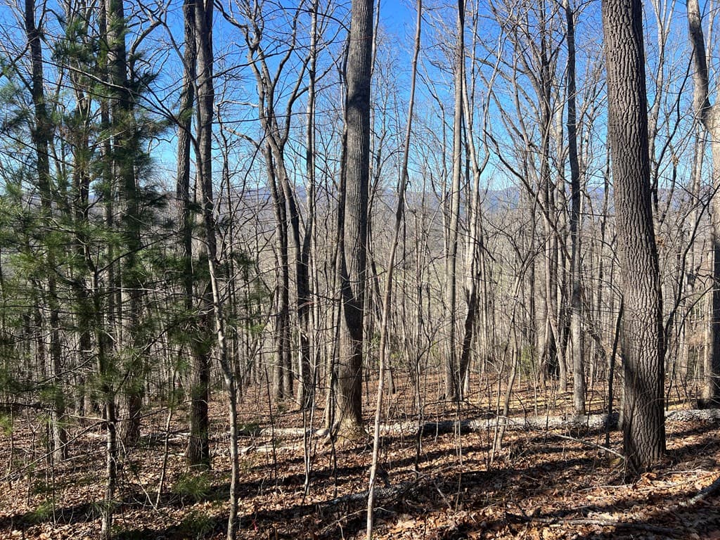 Lots 7&8 Wikle Road, Hayesville NC 28904 - Photo