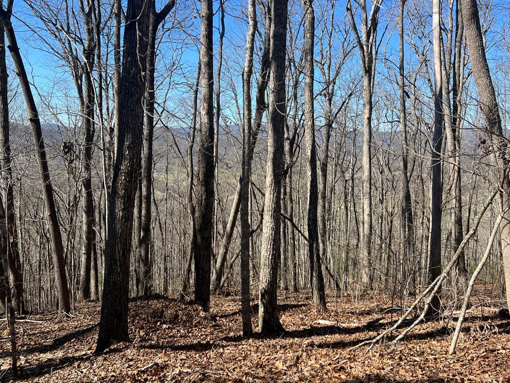 Lots 7&8 Wikle Road, Hayesville NC 28904 - Photo