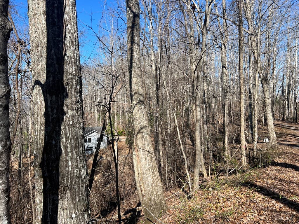 Lots 7&8 Wikle Road, Hayesville NC 28904 - Photo