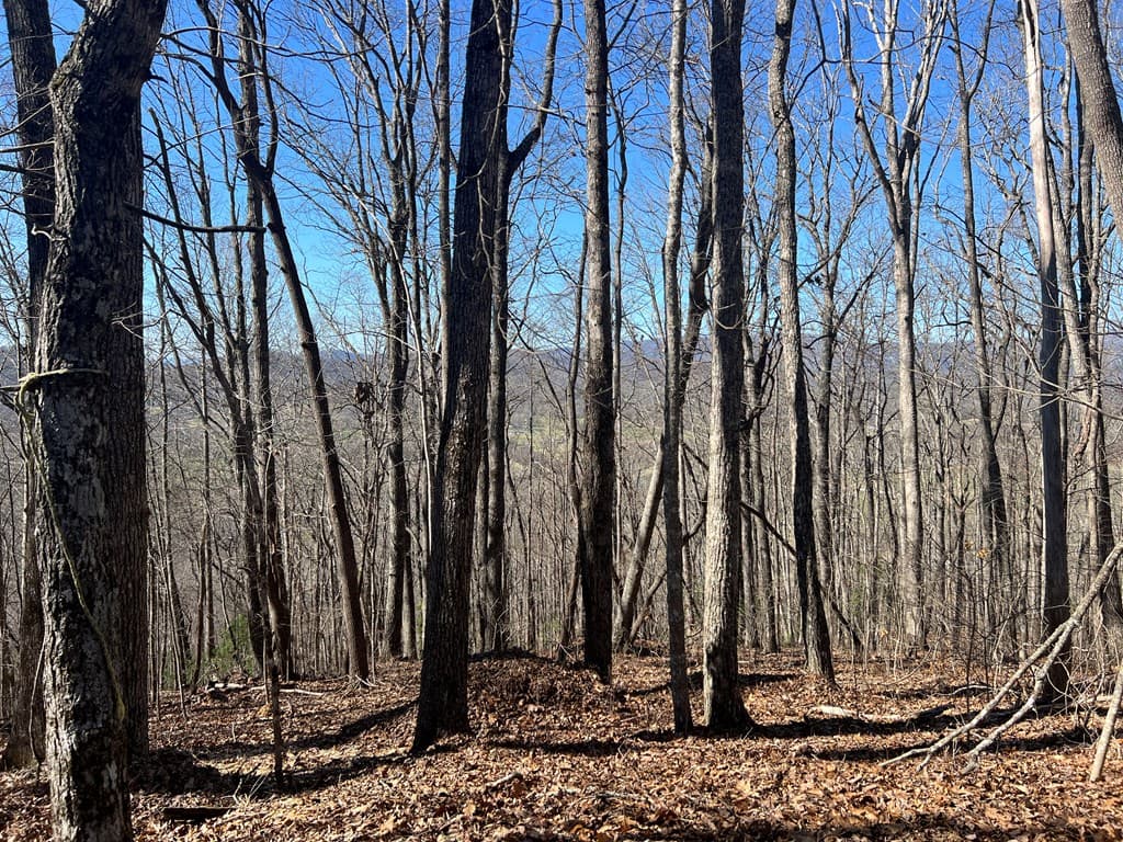 Lots 7&8 Wikle Road, Hayesville NC 28904 - Photo