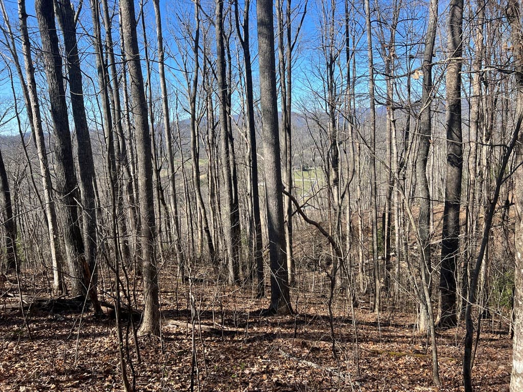 Lots 7&8 Wikle Road, Hayesville NC 28904 - Photo
