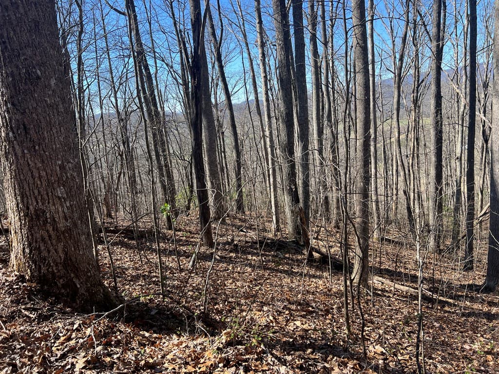 Lots 7&8 Wikle Road, Hayesville NC 28904 - Photo