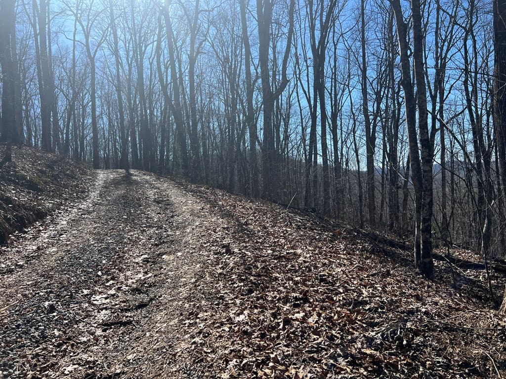 Lots 7&8 Wikle Road, Hayesville NC 28904 - Photo
