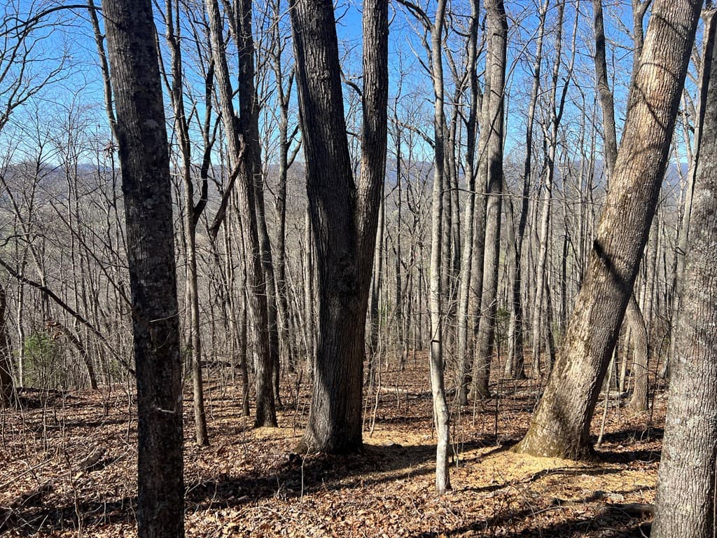 Lots 7&8 Wikle Road, Hayesville NC 28904 - Photo