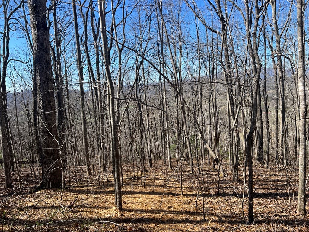Lots 7&8 Wikle Road, Hayesville NC 28904 - Photo