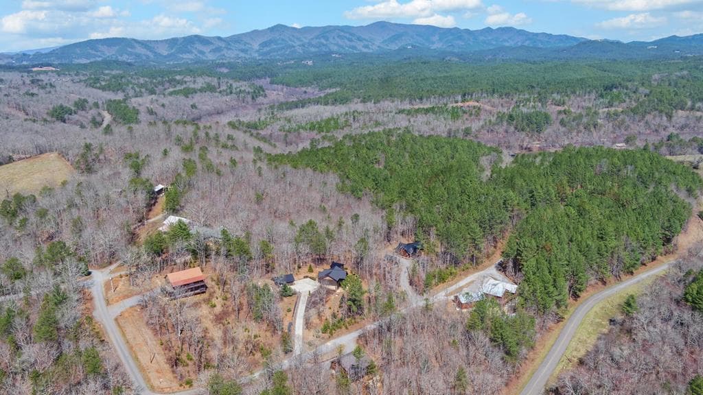 101 Hideaway Trail, Copperhill TN 37317 - Photo