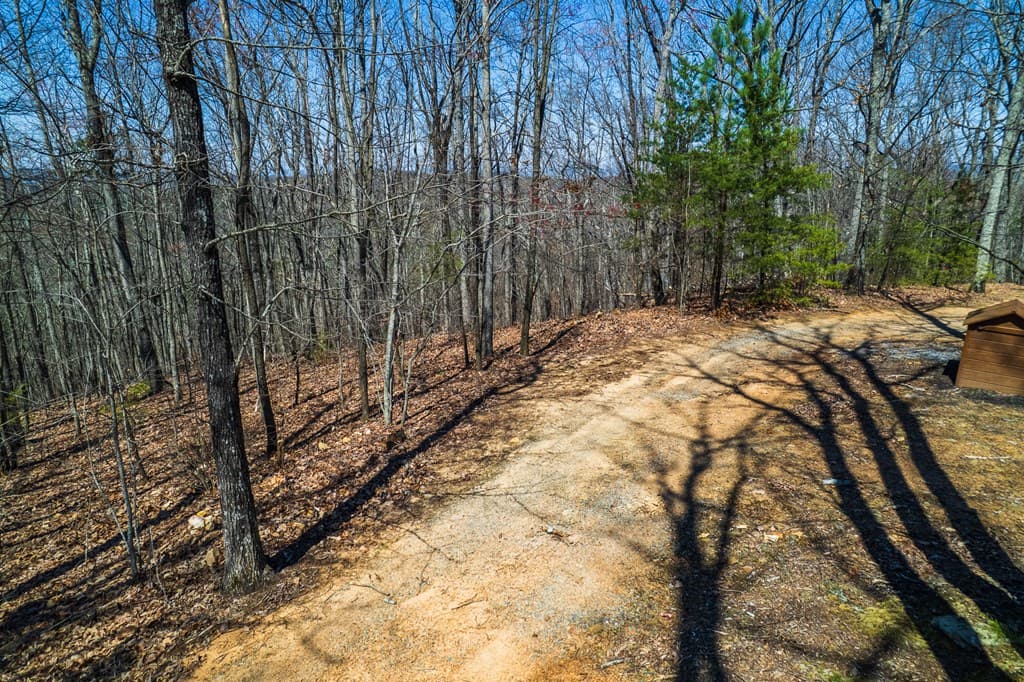Lot 35 Heatherwood Way, Talking Rock GA 30175 - Photo