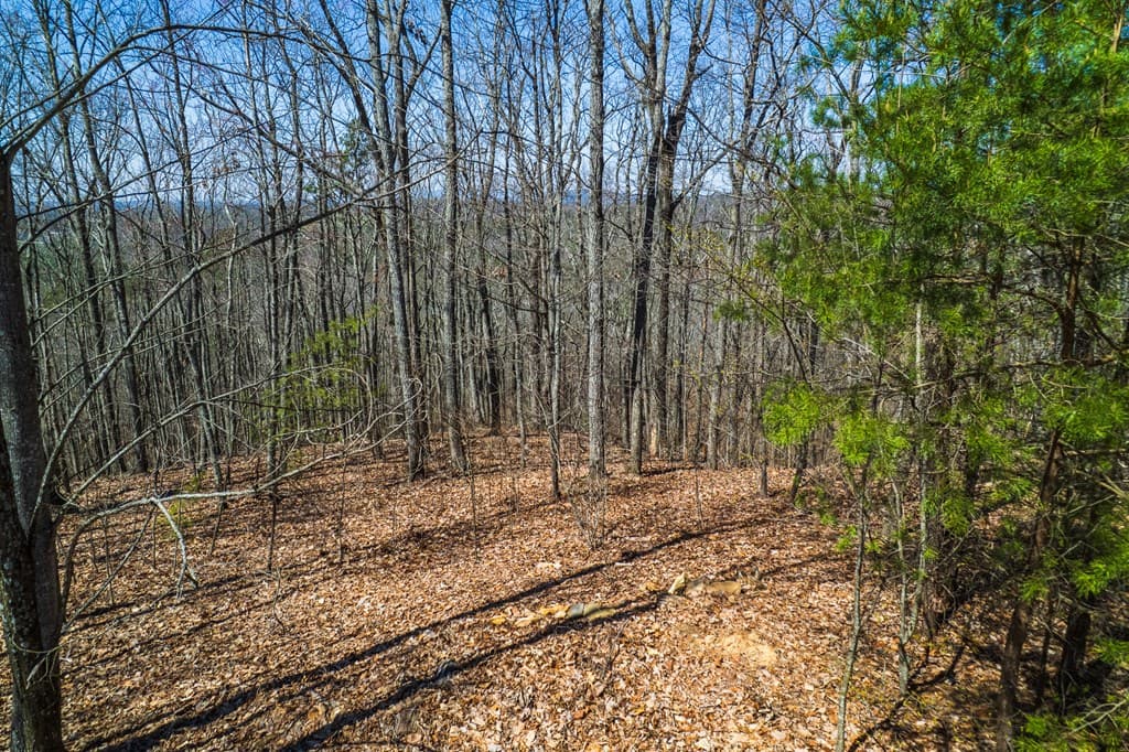 Lot 35 Heatherwood Way, Talking Rock GA 30175 - Photo