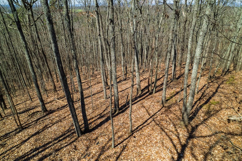 Lot 35 Heatherwood Way, Talking Rock GA 30175 - Photo