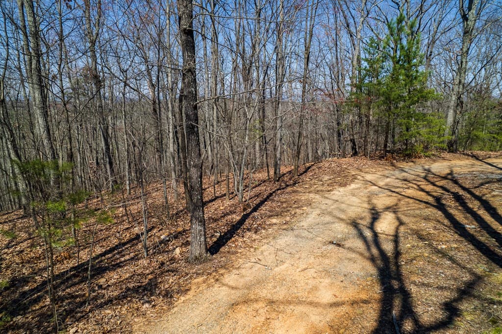 Lot 35 Heatherwood Way, Talking Rock GA 30175 - Photo