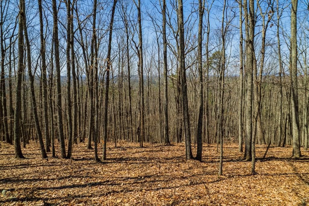 Lot 35 Heatherwood Way, Talking Rock GA 30175 - Primary photo