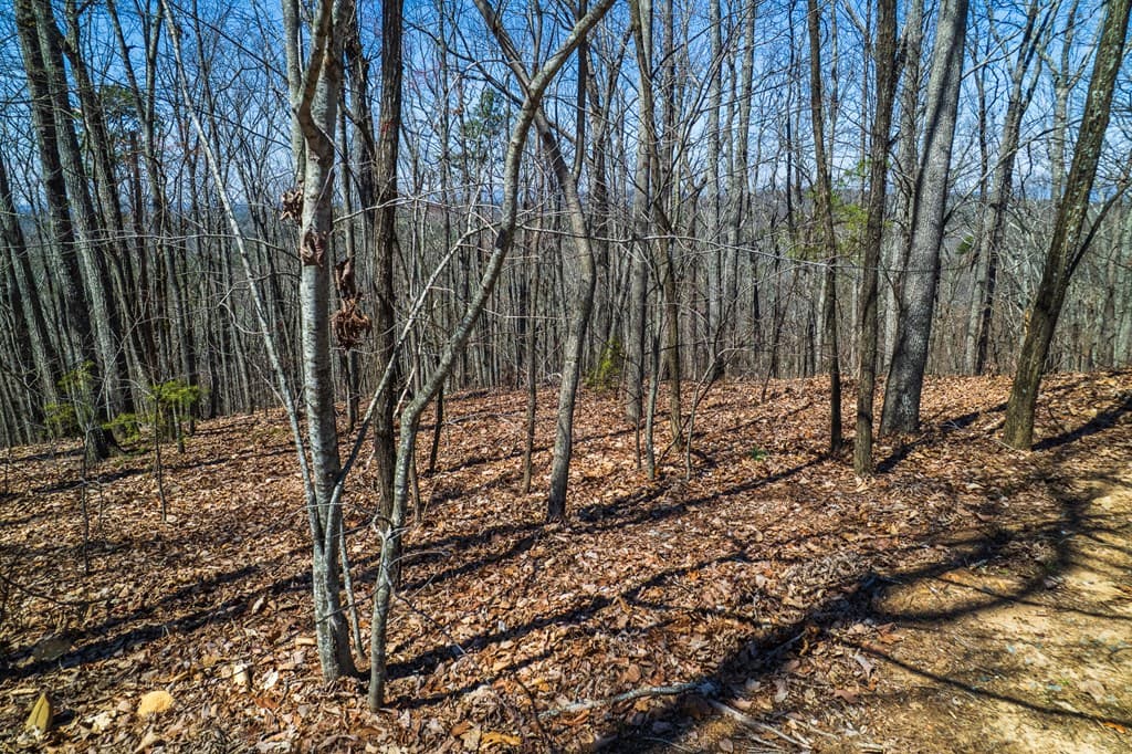 Lot 35 Heatherwood Way, Talking Rock GA 30175 - Photo