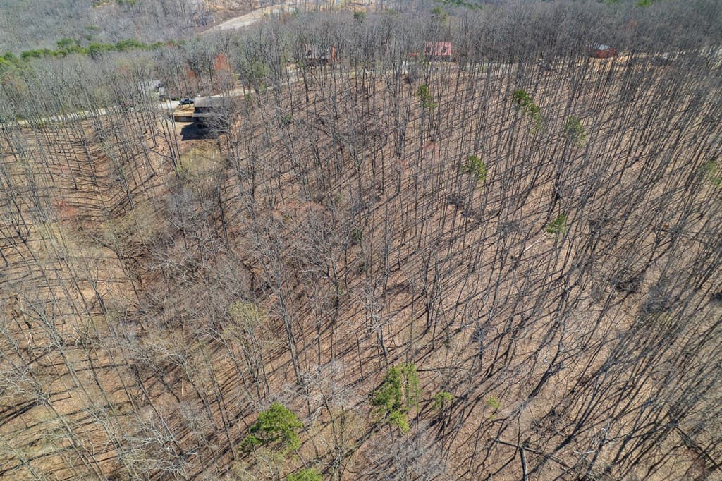 Lot 35 Heatherwood Way, Talking Rock GA 30175 - Photo