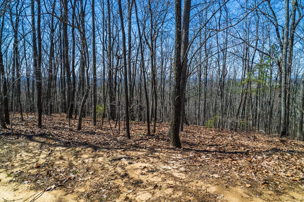Lot 35 Heatherwood Way, Talking Rock GA 30175 - Photo