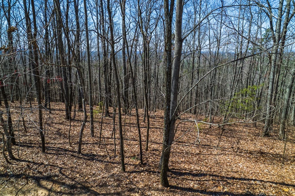 Lot 35 Heatherwood Way, Talking Rock GA 30175 - Photo