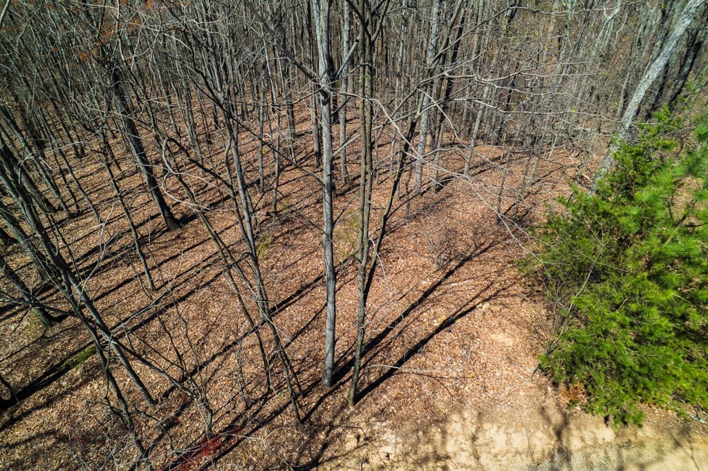 Lot 35 Heatherwood Way, Talking Rock GA 30175 - Photo