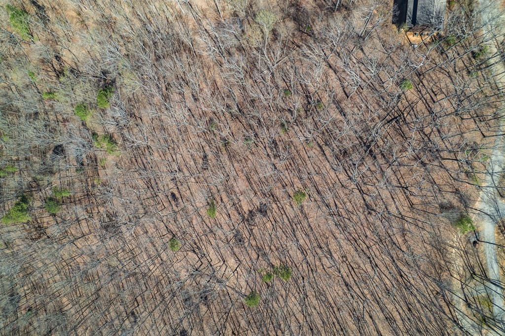 Lot 35 Heatherwood Way, Talking Rock GA 30175 - Photo