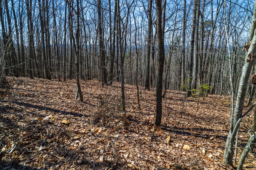 Lot 35 Heatherwood Way, Talking Rock GA 30175 - Photo